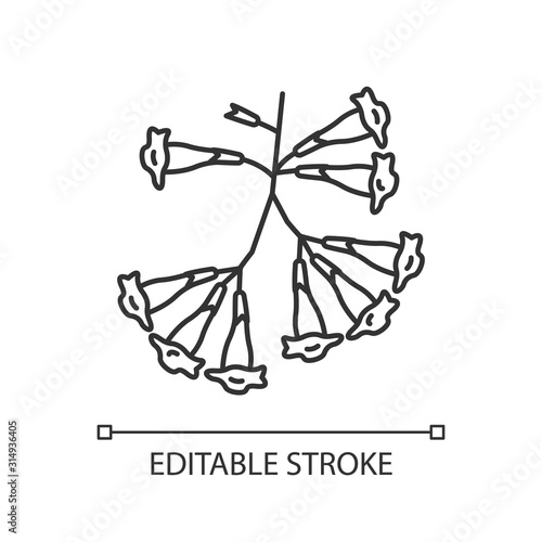 Plumeria pixel perfect linear icon. Ipe tree. Tropical blossom. Frangipani. Brazilian flora. Botany. Thin customizable illustration. Contour symbol. Vector isolated outline drawing. Editable stroke