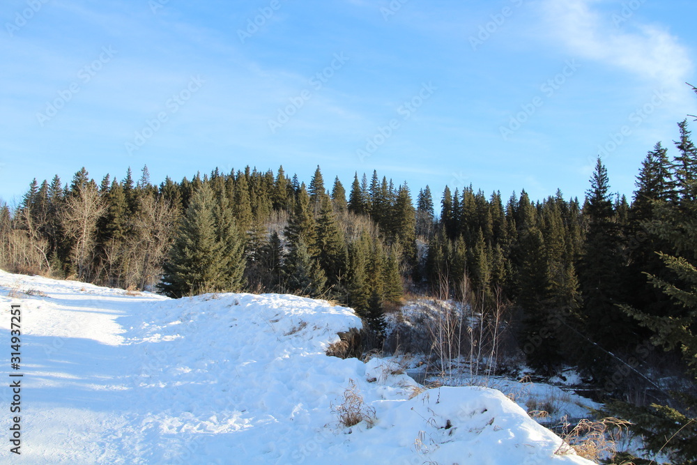 Looking Over The Ridge, Whitemud Park, Edmonton, Alberta Looking Over The Ridge, Whitemud Park, Edmonton, Alberta