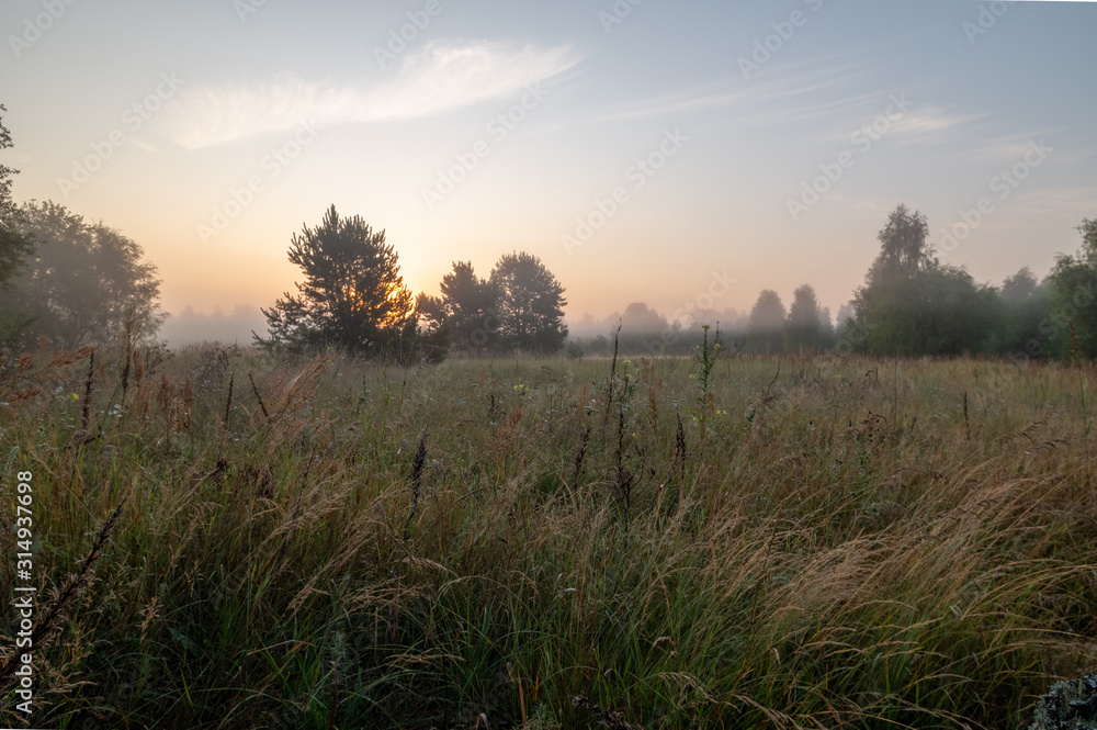 Obraz premium Morning in the field. Dawn of the sun in the field. Morning fog.