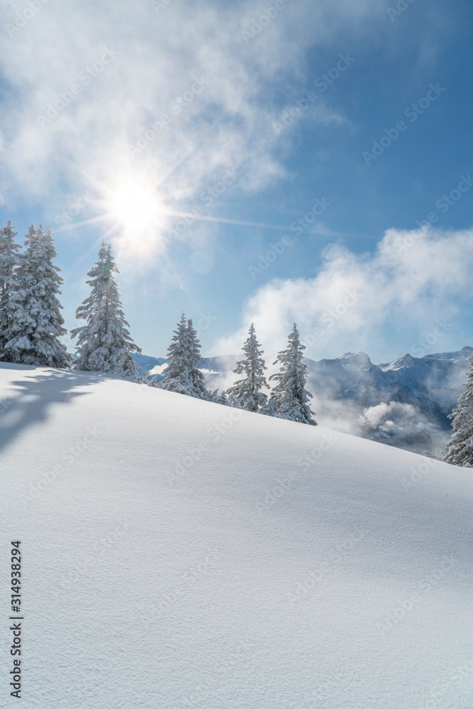 Obraz premium Verschneite Winterlandschaft