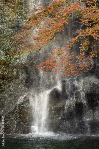 Fall colours in Minoo Forested Park and Waterfall  a spacious natural recreation area in suburban Osaka  Japan.