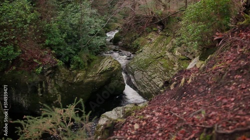 Scenic Slow motion HD video of Tollymore forest mountain stream and surroundings, Tollymore Forest park, Northern Ireland photo