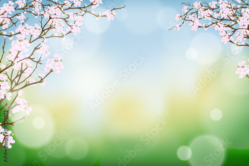 Branches of cherry spring flower blooming on burry bokeh background, Spring background with cherry blossom border and blurry light effect.Template banner for Easter or Spring