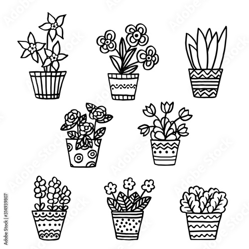 Set with hand-drawn pots with indoor plants, coloring page