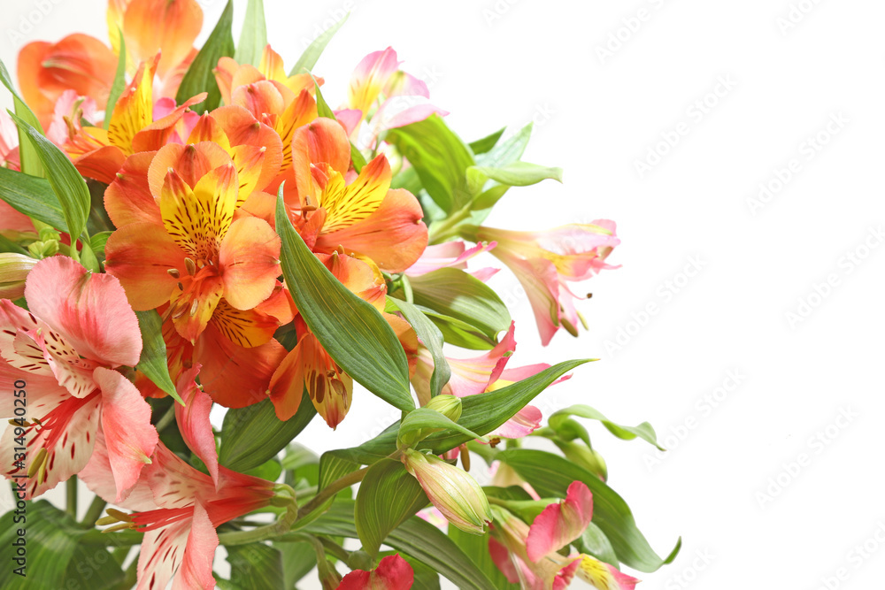Obraz アルストロメリアの花束