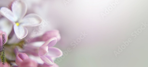 Cuadro en lienzo Mother's Day card with lilac flower and copy space
