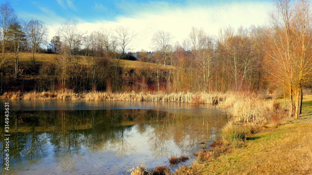 schönes natürliches Biotop am Gültlinger See im Schwarzwald schönes natürliches Biotop am Gültlinger See im Schwarzwald
