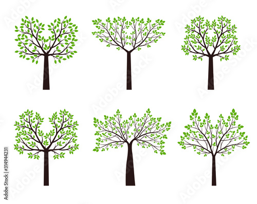 Set of green Trees with Leaves. Vector Illustration and graphic element. Plant in Garden.