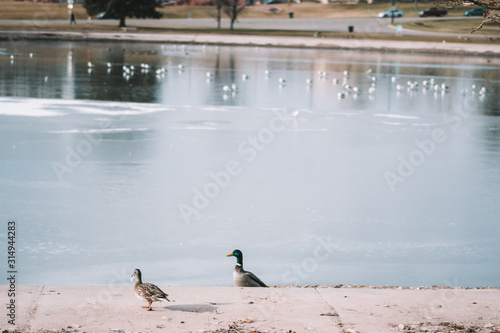 sugar house park in salt lake city