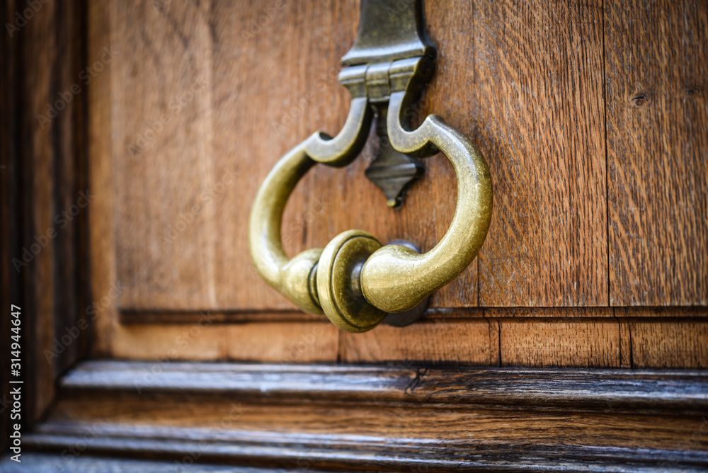 Fototapeta premium old doors close up view within the historical streets of Rome