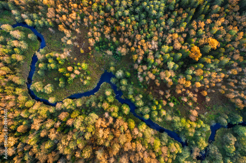 Aerial view of river and autumn forest