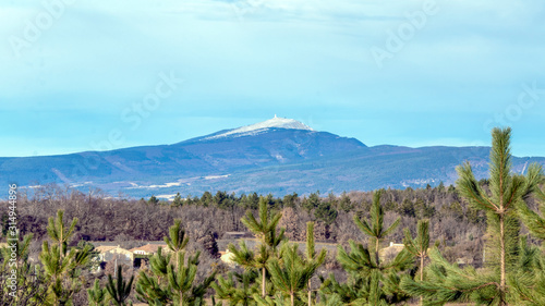 Wallpaper Mural Mont Ventoux mountain and french countryside in the Provence region of Southern France Torontodigital.ca
