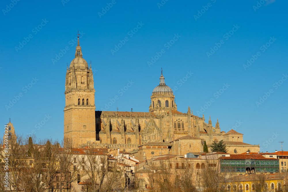 Catedral barroca española