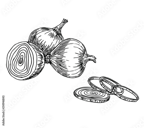 Onion wholed and sliced in line art style.