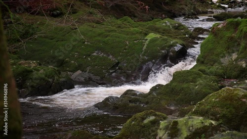 Scenic Slow motion HD video of Tollymore forest mountain stream and surroundings, Tollymore Forest park, Northern Ireland photo