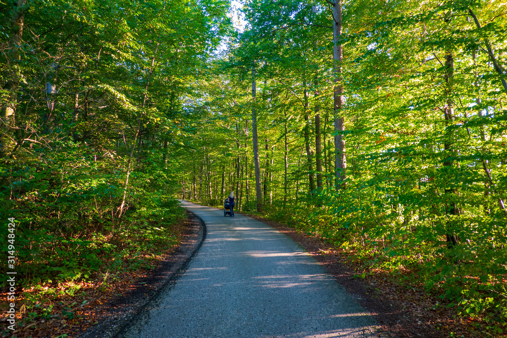 Naklejka premium Bayrischer Wald im Herbst