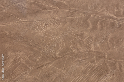 Monkey Nazca lines ape
