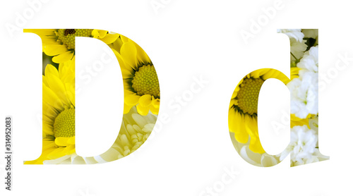 Capital, or upper case, and lower case letter of the English alphabet. Text cutout floral motiff with various yellow and white chrysanthemums and baby's breath photo