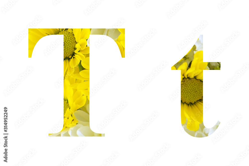 Capital Or Upper Case And Lower Case Letter Of The English Alphabet Capital Or Upper Case And Lower Case Letter Of The English Alphabet
