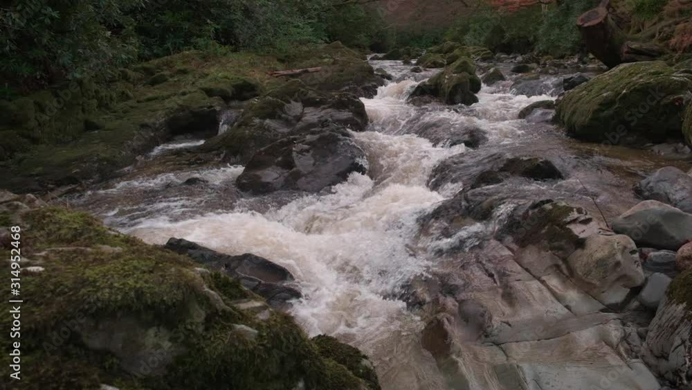 Scenic Slow motion HD video of Tollymore forest mountain stream and surroundings, Tollymore Forest park, Northern Ireland Scenic Slow motion HD video of Tollymore forest mountain stream and surroundings, Tollymore Forest park, Northern Ireland