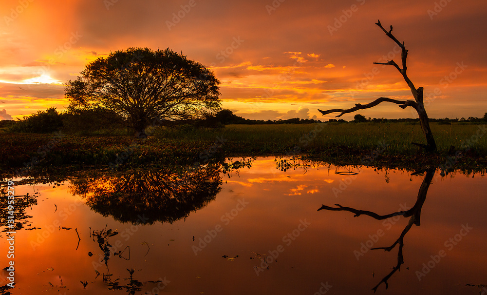 Naklejka premium sunset over the lake
