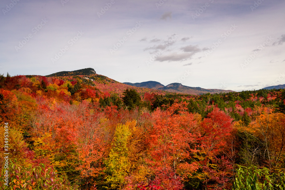 Fall foliage in the white mountains from Hancock overlook