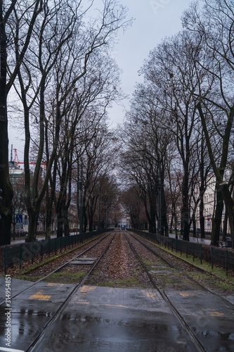 Train tracks on their way through the city between trees