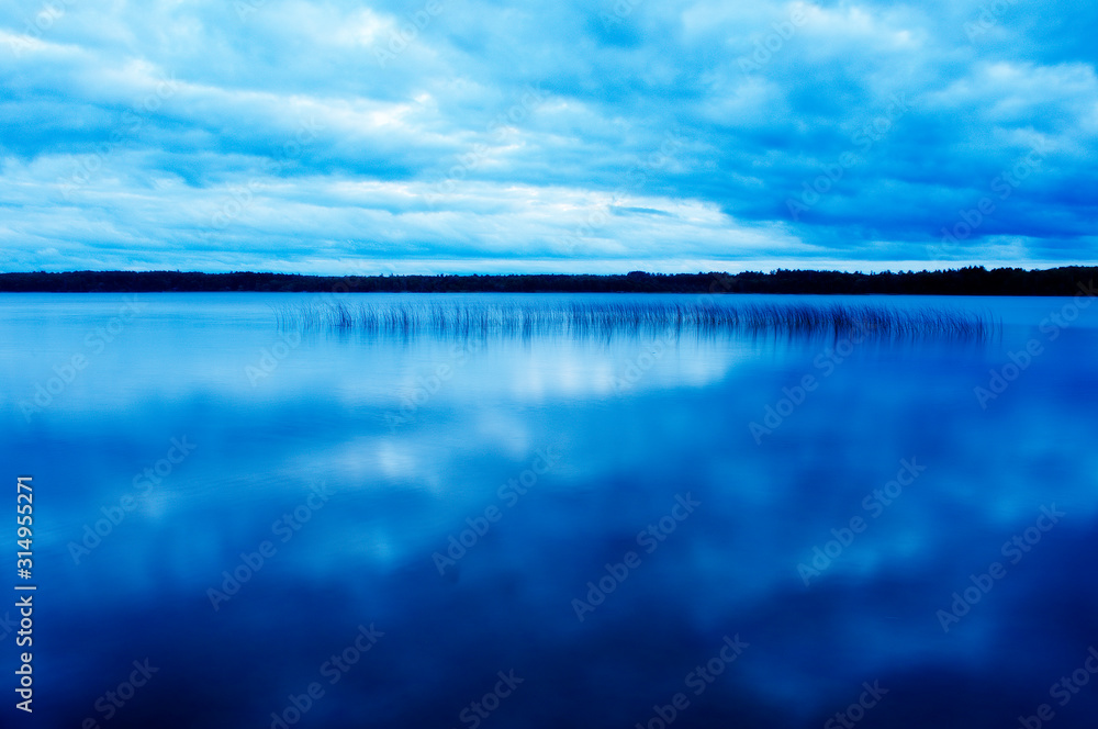 blue sunset reflection on lake with reeds