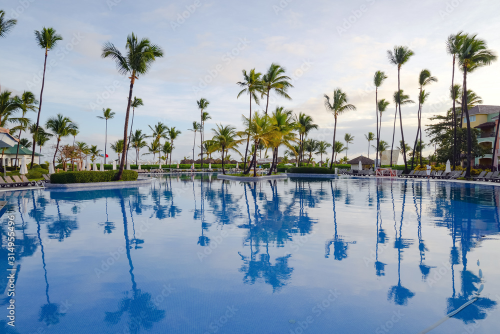 Obraz premium Calm Pool with Palm trees