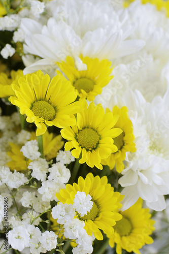 Close up photo of a mixture of yellow and white chrysanthemums and baby's breath. Vertical image.