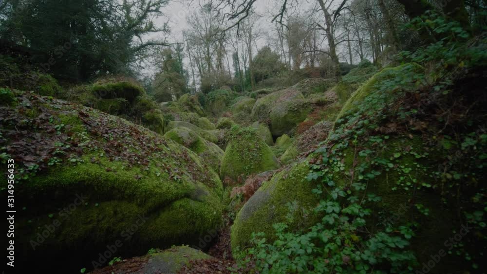 POV View Round Large Rock To Reveal Pile Of Moss Covered Boulders At Huelgoat, France POV View Round Large Rock To Reveal Pile Of Moss Covered Boulders At Huelgoat, France