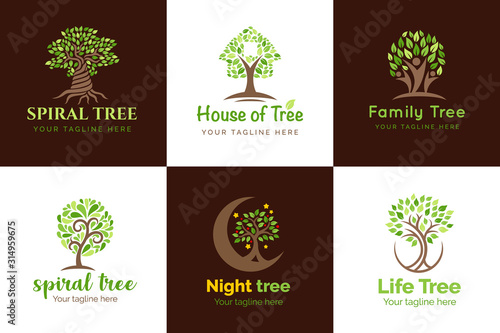 flat tree logo for your business company with name and tagline