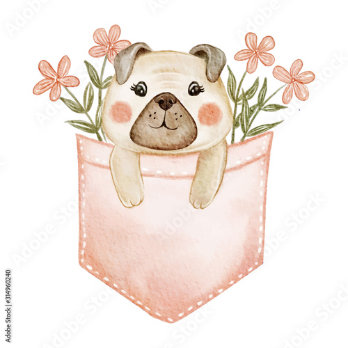 cute dog in a pocket with flowers watercolor illustration