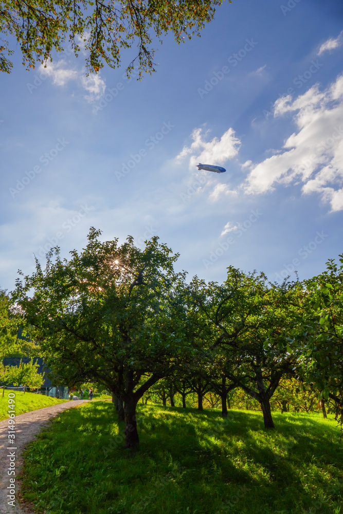 Fototapeta premium Zeppelin, Luftschiff fliegt über dem öffentlichen Obstgut in Baden-Baden