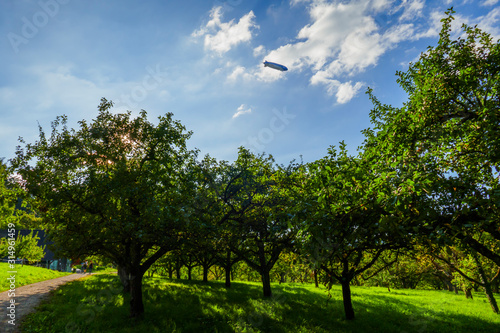 Zeppelin, Luftschiff fliegt über dem öffentlichen Obstgut in Baden-Baden