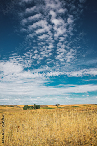 Campo rural y cielo con nubes © Anuska