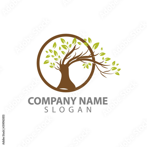 tree logo graphic design concept. Editable tree element, can be used as logotype, icon, template in web and print