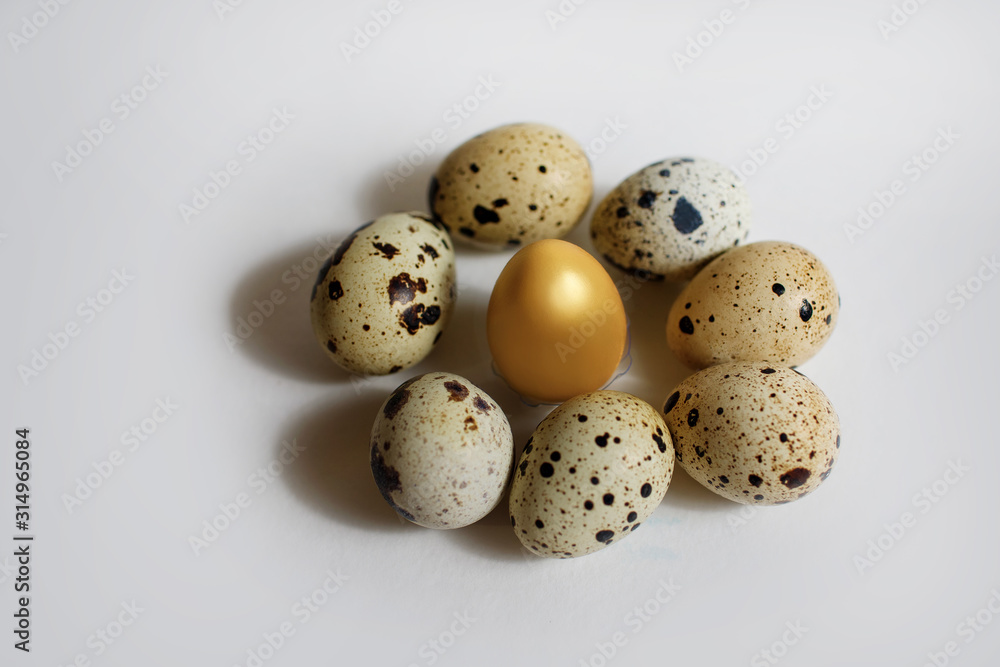 Golden quail egg with ordinary eggs on a white background, quail eggs around one golden one, Easter concept or motivation for improvement, a call for special