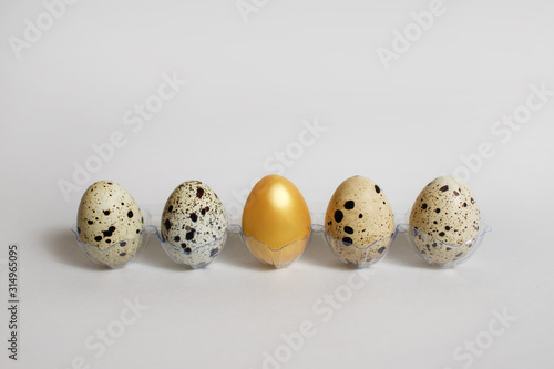 Golden quail egg with ordinary eggs in a row on a white background