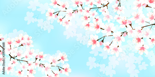  桜　春　花　背景