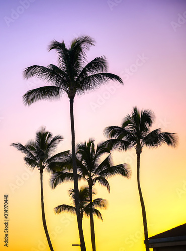 Sunset over the coast of Kauai, Hawaii. © Jbyard