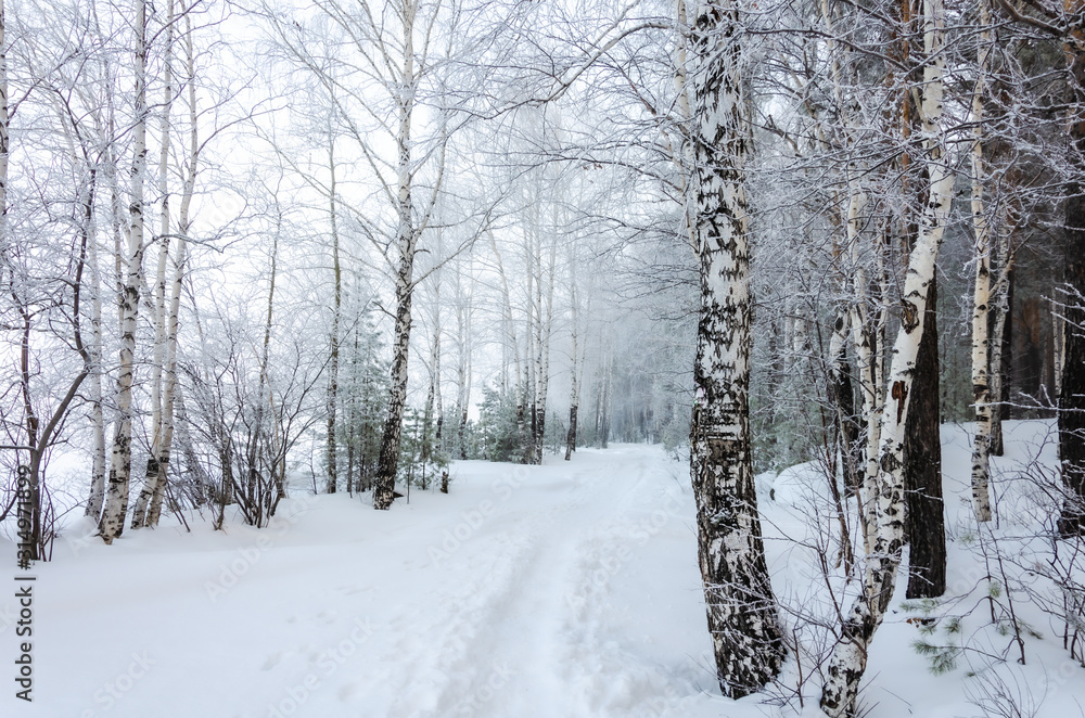 The road in the winter forest in the morning fog. The road in the winter forest in the morning fog.