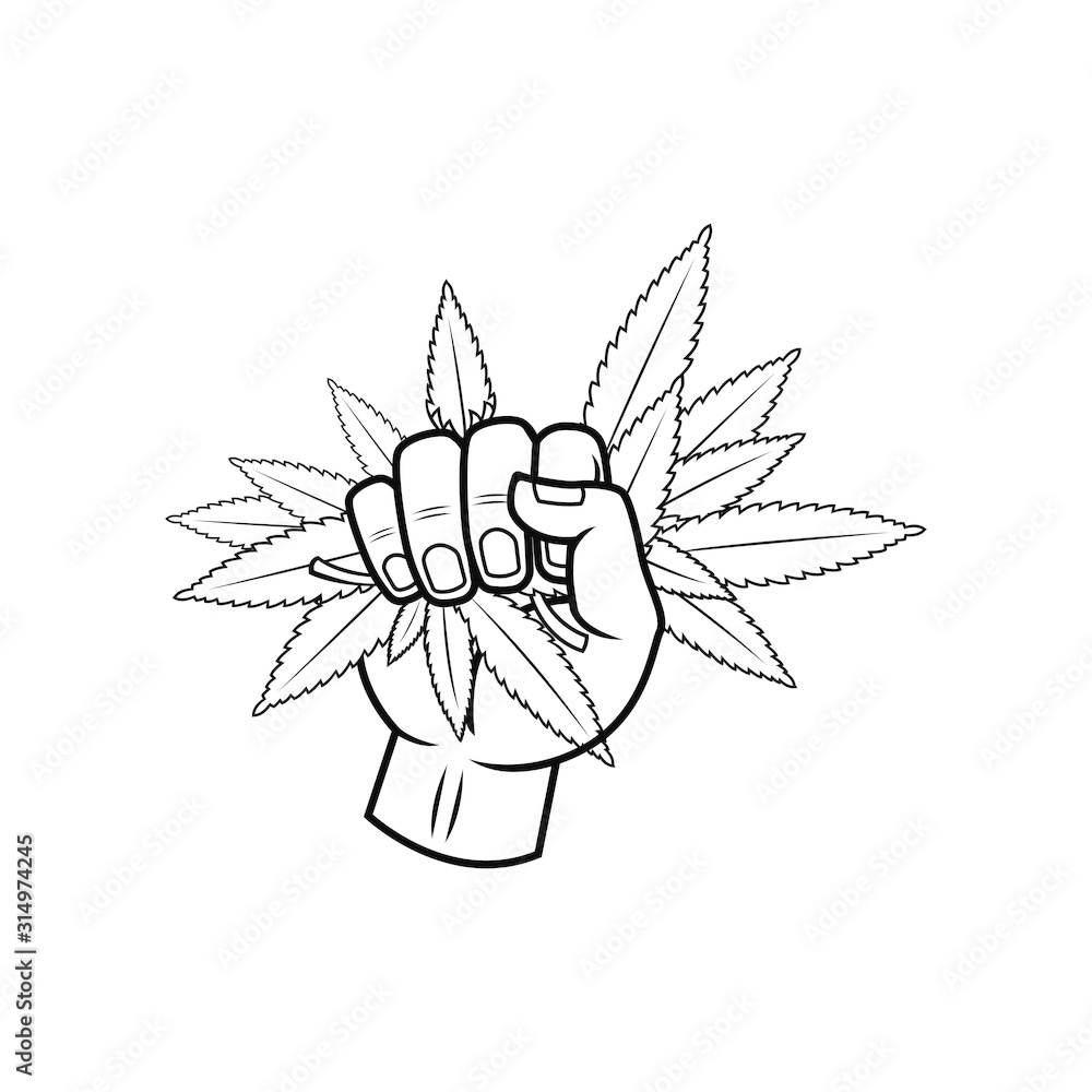 the hand holding tightly the cannabis vector illustration