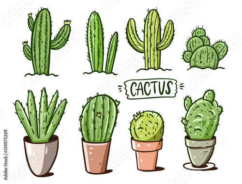 Different cactus set. Cartoon style. Vector illustration.