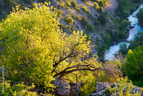 Canyon in Aksu-Zhabagly Nature Reserve. Turkestan region. Kazakhstan.