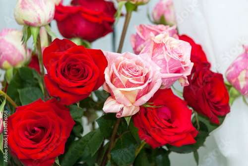 Rose petal detail  romantic floral arrangement made with roses grown in Guatemala  natural and artificial light in vase  home interior.