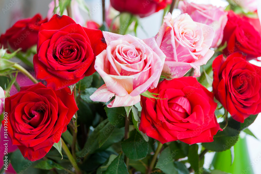 Rose petal detail, romantic floral arrangement made with roses grown in Guatemala, natural and artificial light in vase, home interior. Rose petal detail, romantic floral arrangement made with roses grown in Guatemala, natural and artificial light in vase, home interior.