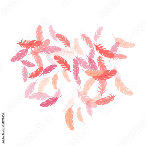 Flying feather elements airy vector design.