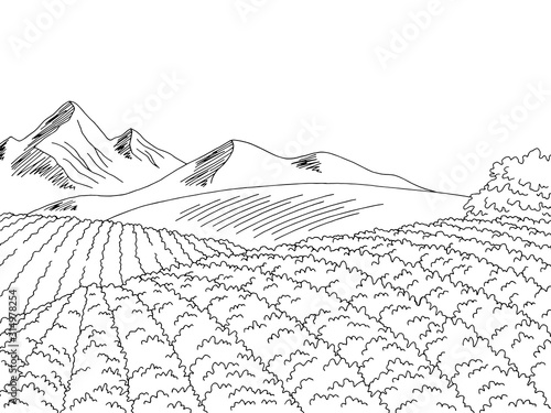 Soy plantation field graphic black white landscape sketch illustration vector