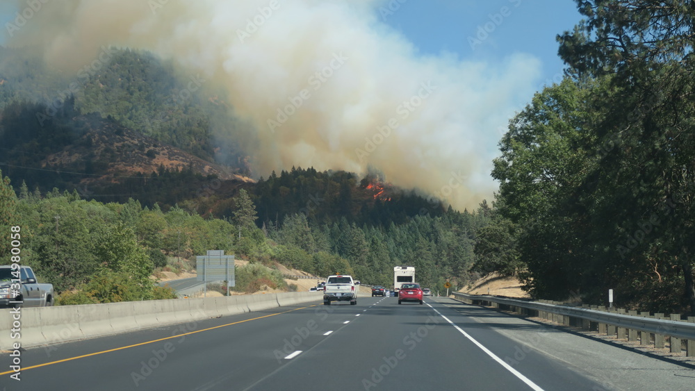 Forest Fire Beside Road | Climate Change